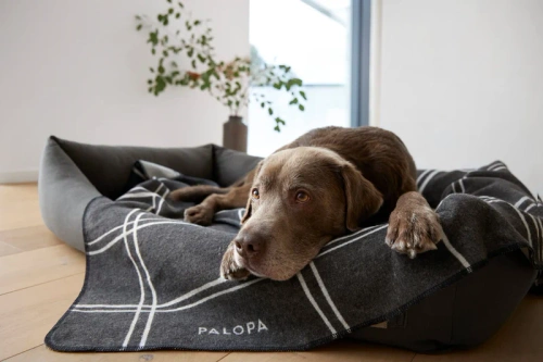 PALOPA - Mathilda dog blanket - Antracite light gray